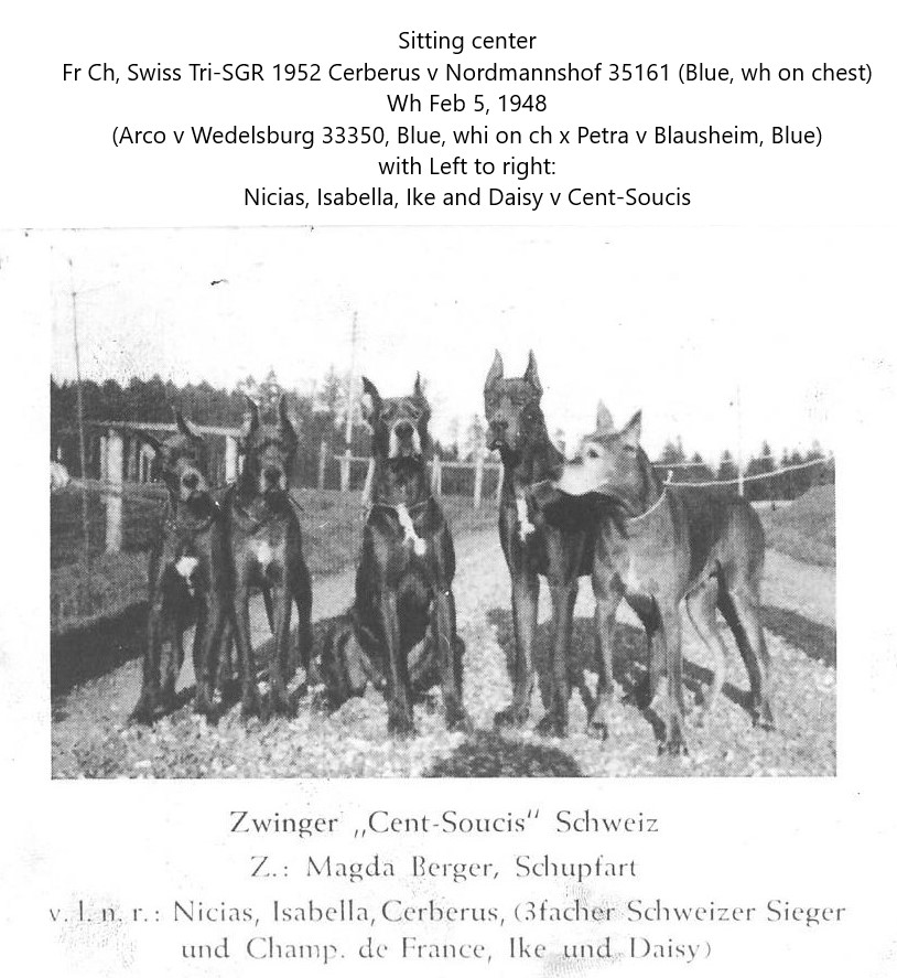 Cerberus v Nordmannshof